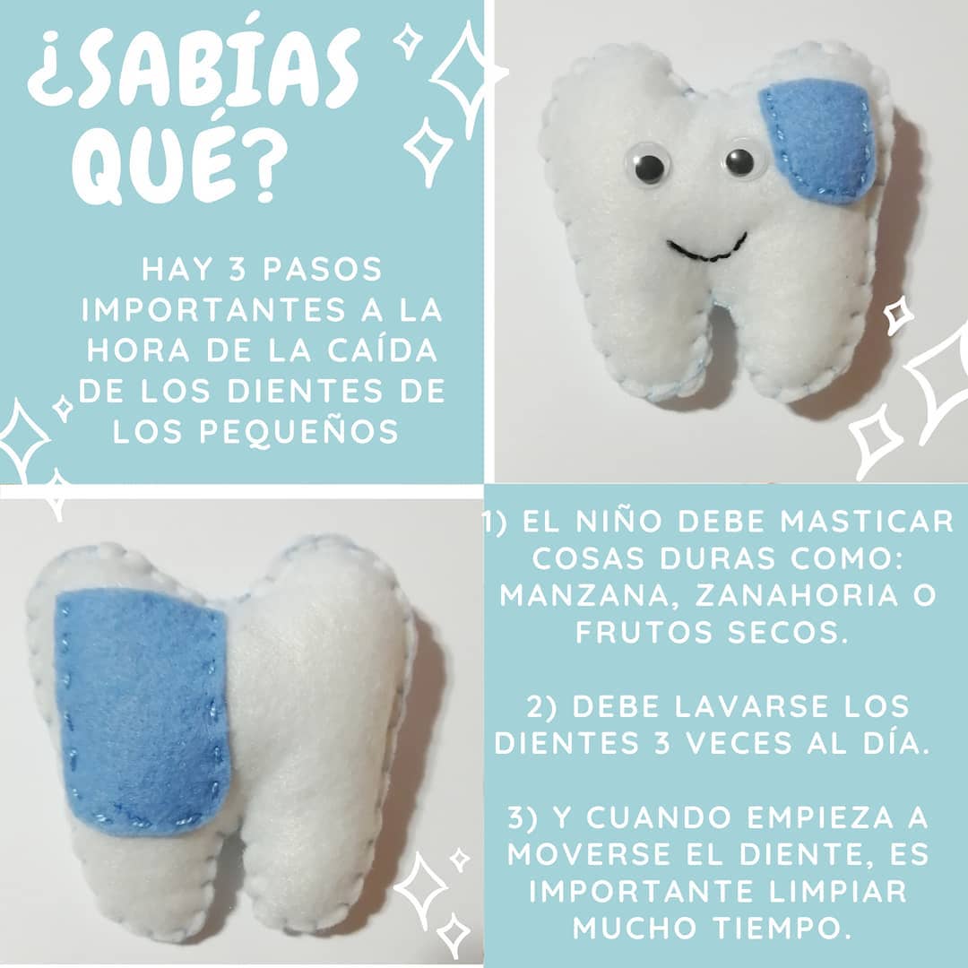 Pedagógico — diseño 14